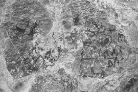 NMSA 03 7863P