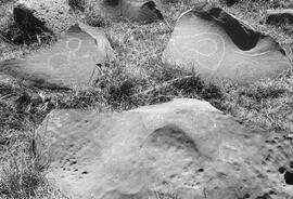 NMSA 03 7573P