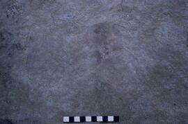 RSA CSF36 22