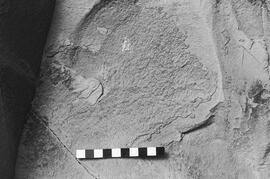 NMSA 03 2659P