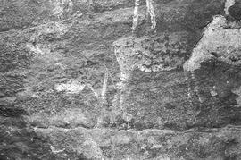 NMSA 03 224P
