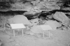 NMSA 03 8834P