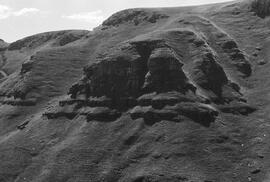 NMSA 03 4965P