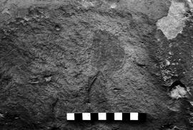 NMSA 03 3356P