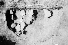 NMSA 03 8046P