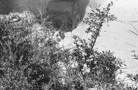 NMSA 03 1803P