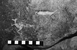 NMSA 03 3243P