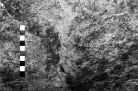 NMSA 03 4148P