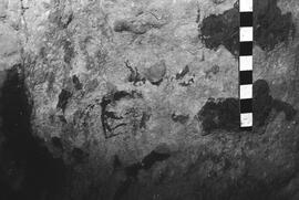 NMSA 03 4537P