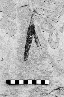 NMSA 03 3271P