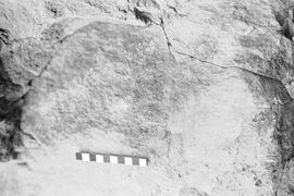NMSA 03 1989P
