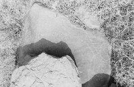 NMSA 03 8145P