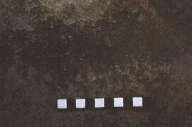 RSA ROT1 12