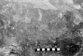 NMSA 03 6177P