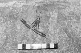 NMSA 03 1407P