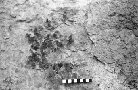 Open original Digitaal object