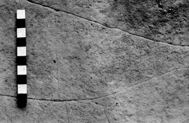 NMSA 03 3767P