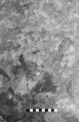 NMSA 03 6125P