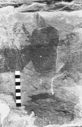 NMSA 03 827P