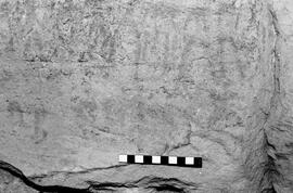 NMSA 03 6366P