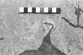 NMSA 03 1429P