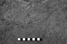 NMSA 03 2464P