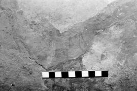 NMSA 03 5326P