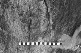 NMSA 03 6932N