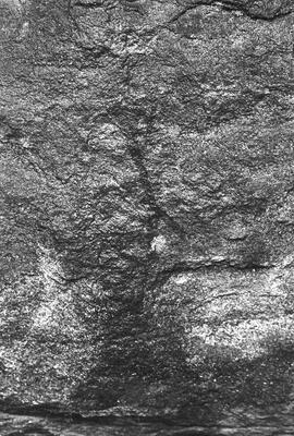 NMSA 03 211P