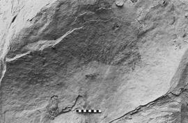 NMSA 03 6842P