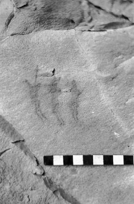 NMSA 03 4734P