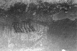 NMSA 03 980P