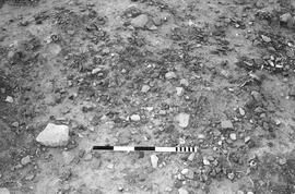 NMSA 03 724P