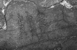 NMSA 03 8329P