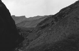 NMSA 03 6078P