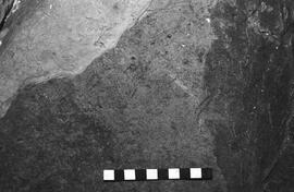 NMSA 03 5767P