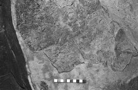 NMSA 03 3801P