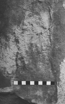 NMSA 03 5396P