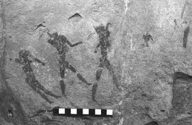 NMSA 03 6566P