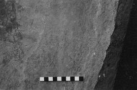 NMSA 03 2468P