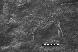 NMSA 03 2370P