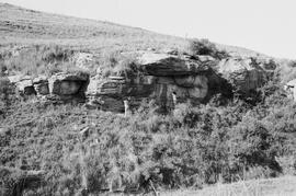 NMSA 03 7332P