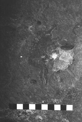 NMSA 03 6094P