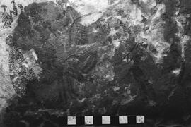 NMSA 03 4528P