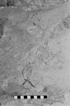 NMSA 03 6129P