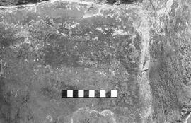NMSA 03 1355P