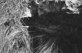 NMSA 03 6254P