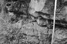 NMSA 03 6509P