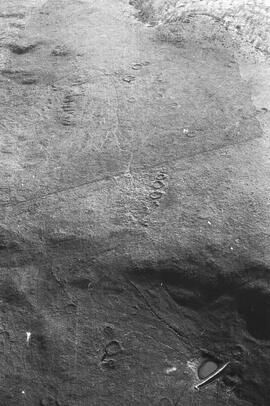 NMSA 03 545P