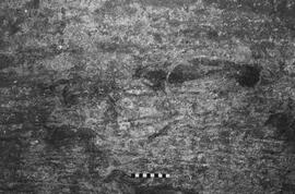 NMSA 03 6334P